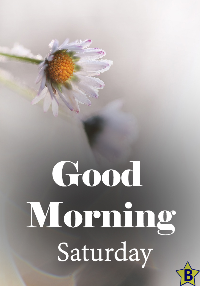 beautiful saturday good morning flowers images