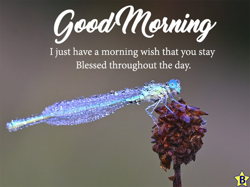 good morning blessings images and quotes images