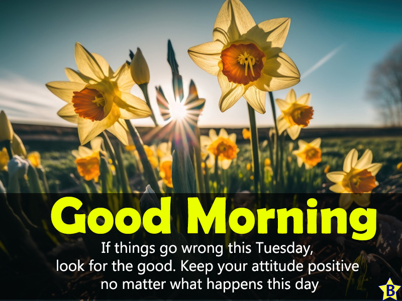 tuesday quotes positive